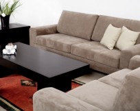 Need to the zap out of your microfiber furniture?